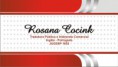 Rosana Cocink - Tradutora Pública e Intérprete Comercial